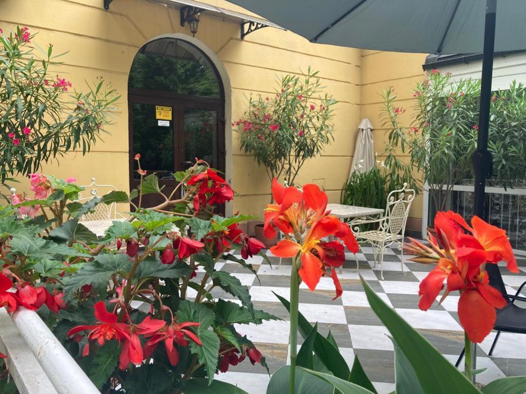 Hotelik Polonia โลวิคซ์ ภายนอก รูปภาพ
